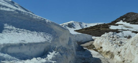 Bistra, Carevec (2)