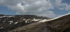 Ponikva Osogovo (16)