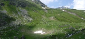 borislavec-sar-planina (8)