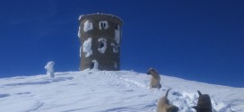 Titov Vrv Shar mountain (16)