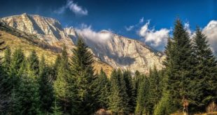 05-solunska-glava-pogled