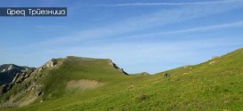 trapeznica shar planina