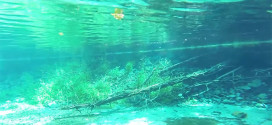 Lake Ohrid - crystal clear water