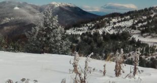 15241924_ski-centar-kozuf-01122016