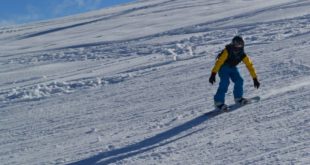 1533844_336068409864779_1016254005_n