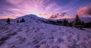 15036449_Shar mountain shar planina