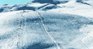 16422551_galicki belicki