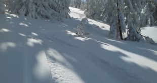 17342817_Pelister dom Shiroka