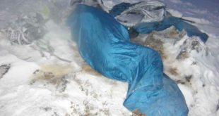 18118774_karadzica solunska glava