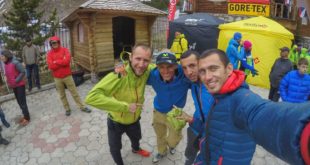 18358575_red fox elbrus
