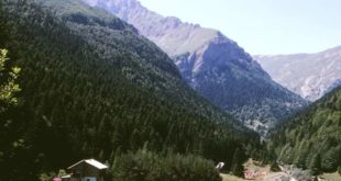 FB_IMG_1498633038072 leshnica