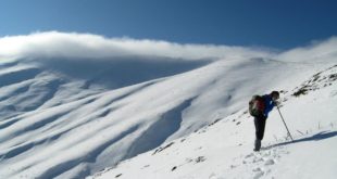 63604_ivica mitrovski