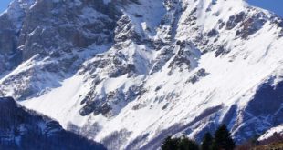 22713174_Leshnica Shar planina sreden kamen