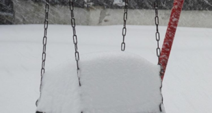 Screenshot_20171024-135511~2