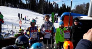 26855718_ask skadi jana atanasovska