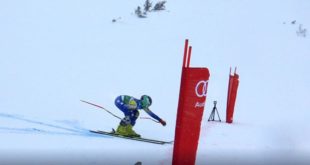 27140662_alpski kup medenica 2018;ski klub medenica;