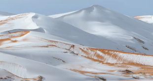 SnowOverSahara2018_socialpromo