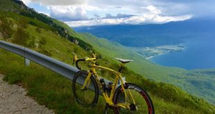 13315482_samoilova rakija