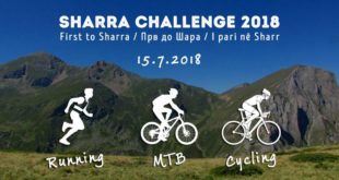 36327643_sharra challenge 2018