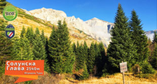 solunska glava jakupica