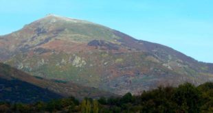 45727178_goleshnica veleshki lisec